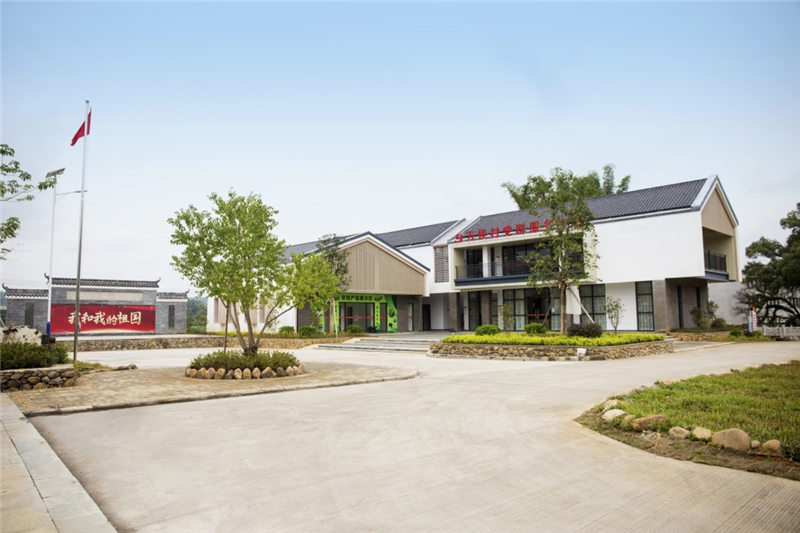 �佭���˾�����ۺ�������������-����