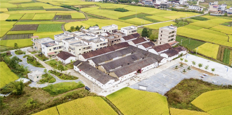 �佭���˾�����ۺ�������������-ɽǰ��1