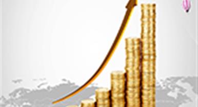 2020�������Ͷ����ܽ�